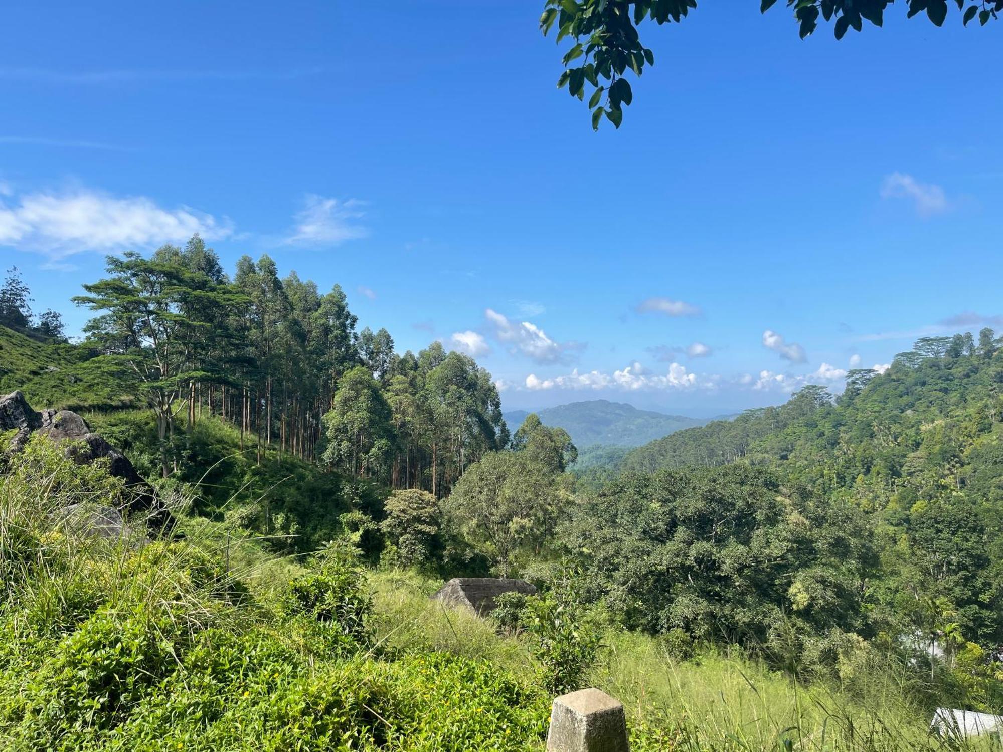 Eagles Lodge - Kandy Digana Luaran gambar