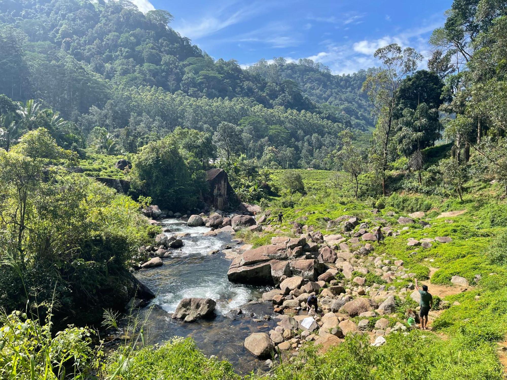 Eagles Lodge - Kandy Digana Luaran gambar